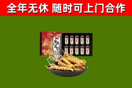 建阳回收冬虫夏草价格
