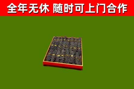 建阳回收海参